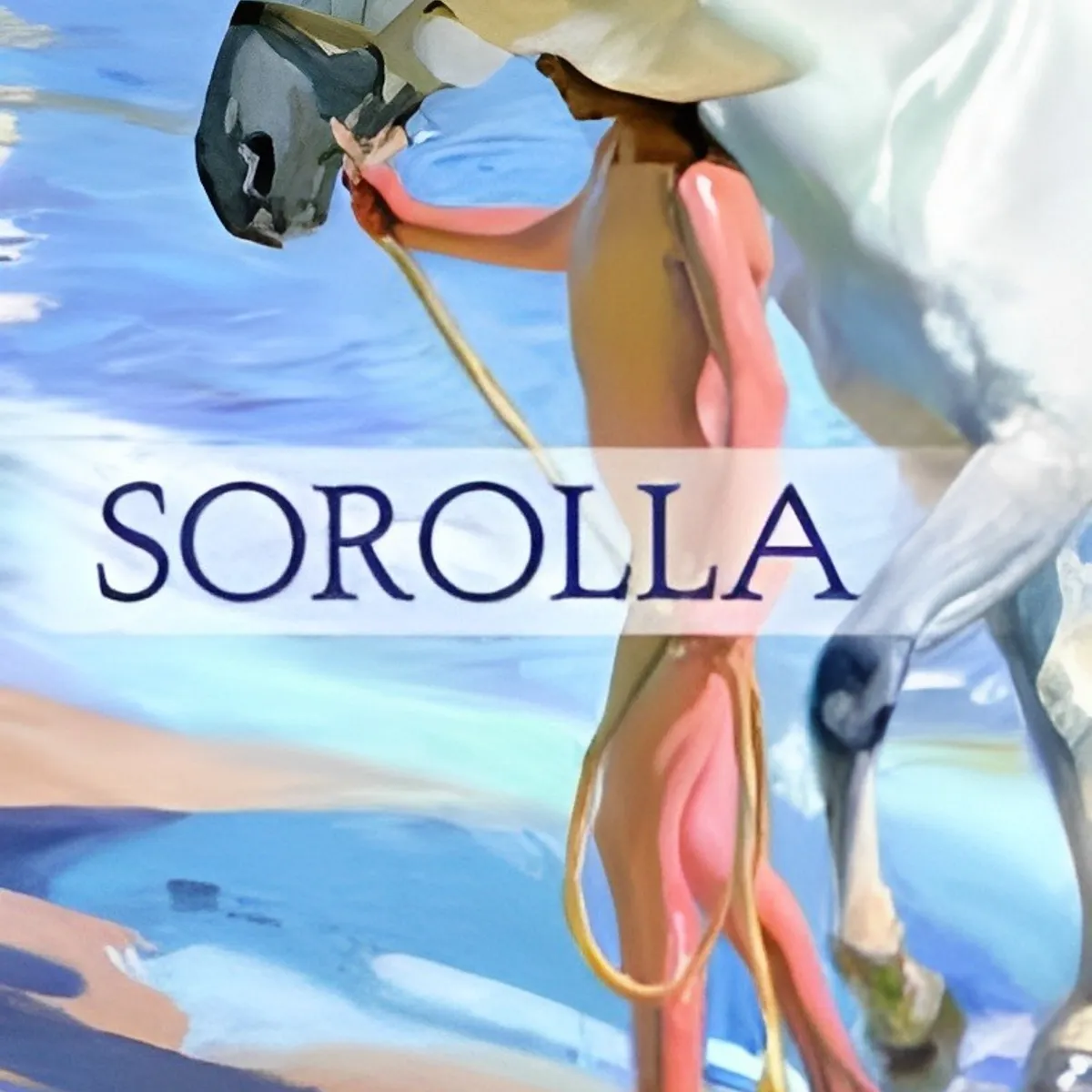 TOP10BOOKS - LIBRO Sorolla - Sorolla