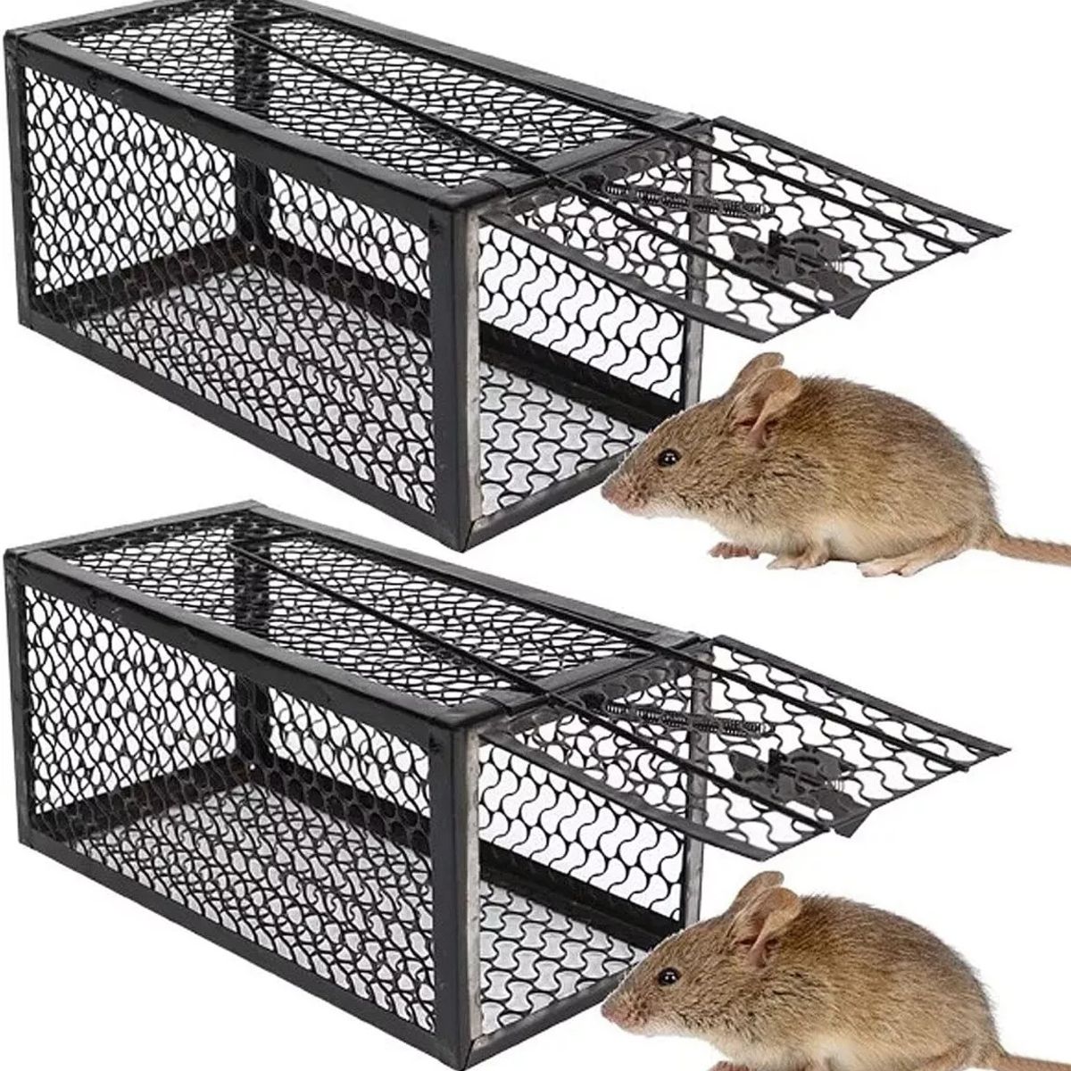 KUANGYE - 2 X Jaula Trampa Ratones Roedor De Metálico 24cmx11cm