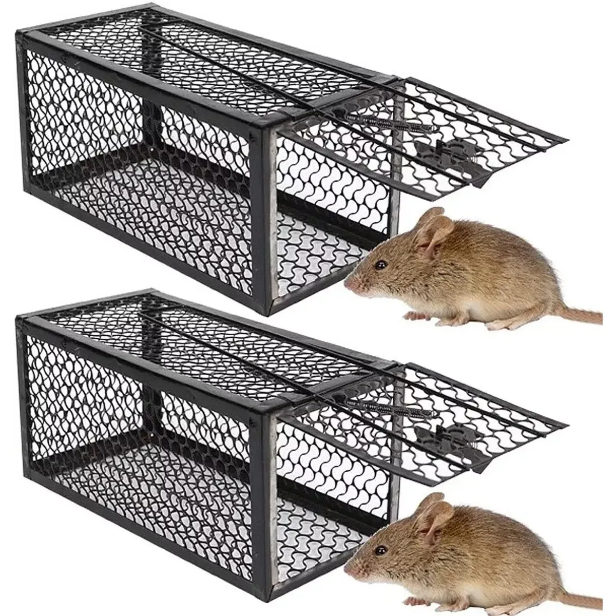 KUANGYE - 2 X Jaula Trampa Ratones Roedor De Metálico 24cmx11cm