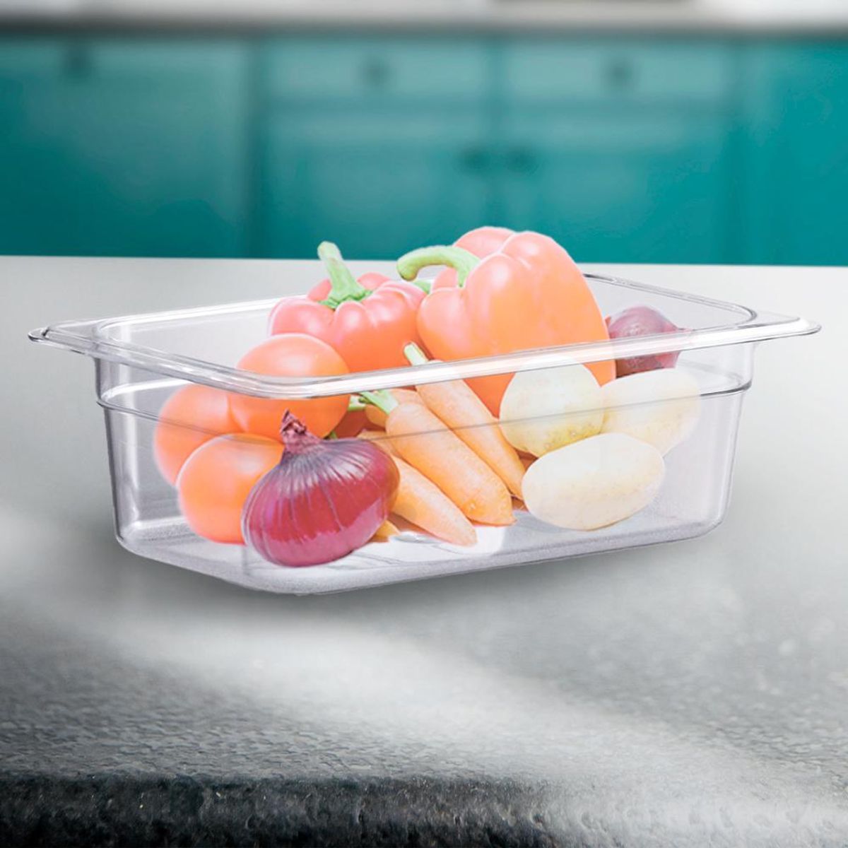 GASTROPLAST - CONTENEDOR POLICARBONATO TRANSPARENTE GN 1/3x10 cms IMAHE