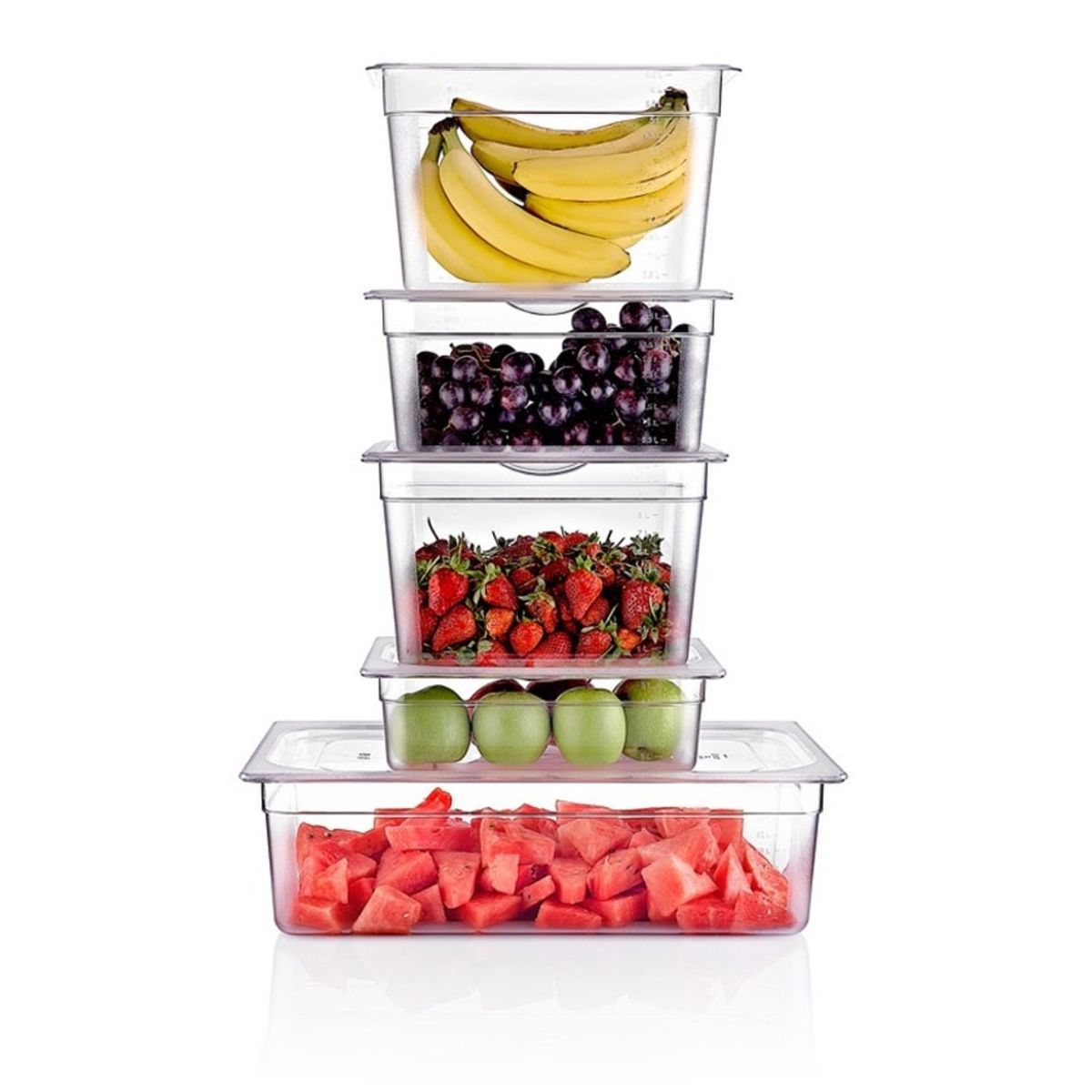 GASTROPLAST - CONTENEDOR POLICARBONATO TRANSPARENTEGN 1/4x10 cms GASTROPLAST