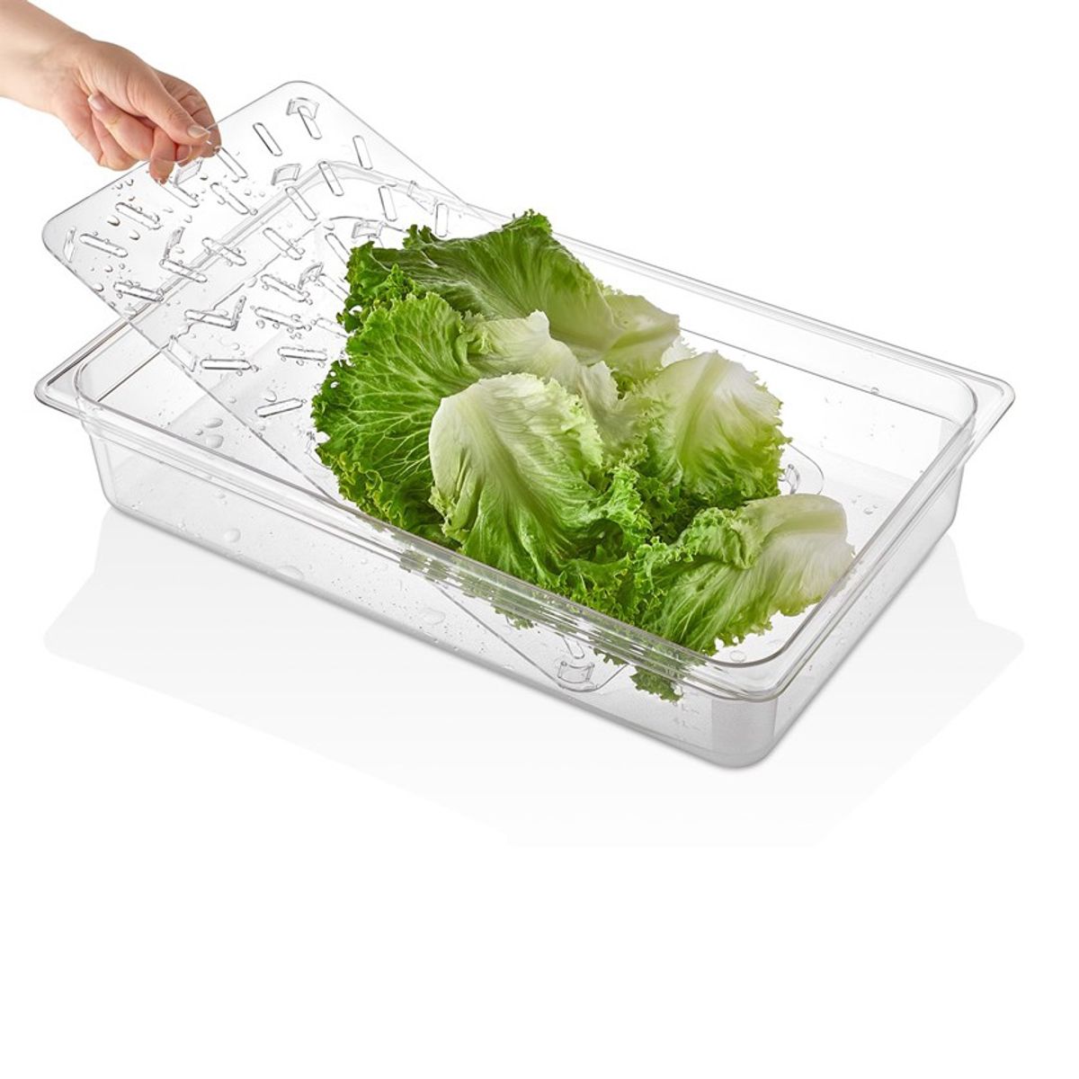 GASTROPLAST - FONDO PERFORADO GN  20-CWD