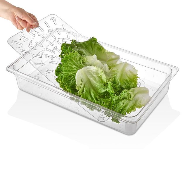 GASTROPLAST - FONDO PERFORADO GN  20-CWD