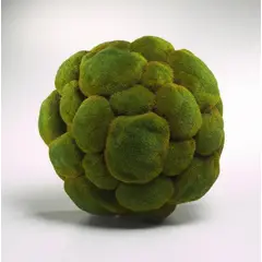 THE GREEN STORE - Musgo artificial tipo bola