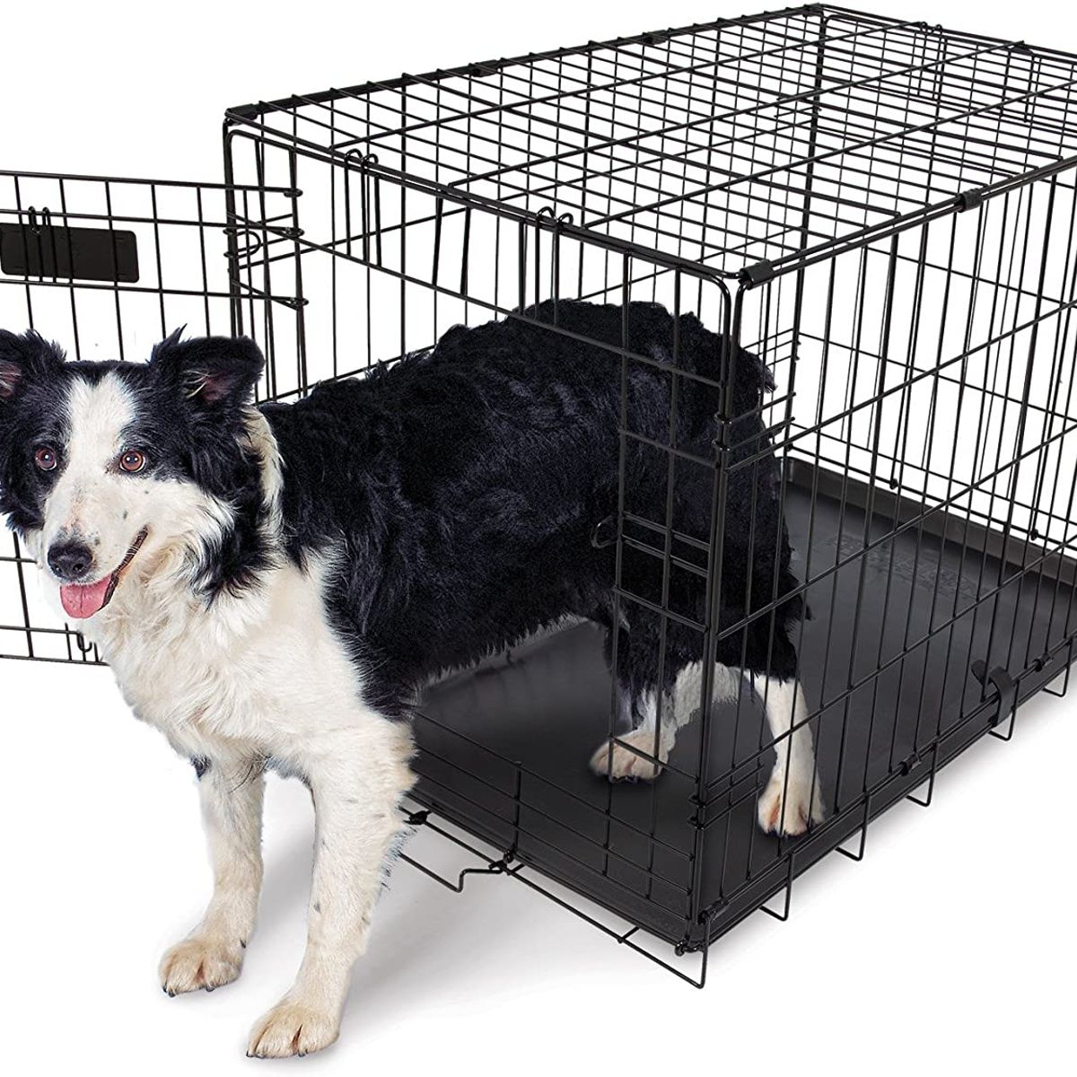 ASPEN PET - Canil para perros Aspen Pet talla M hasta 23 kg