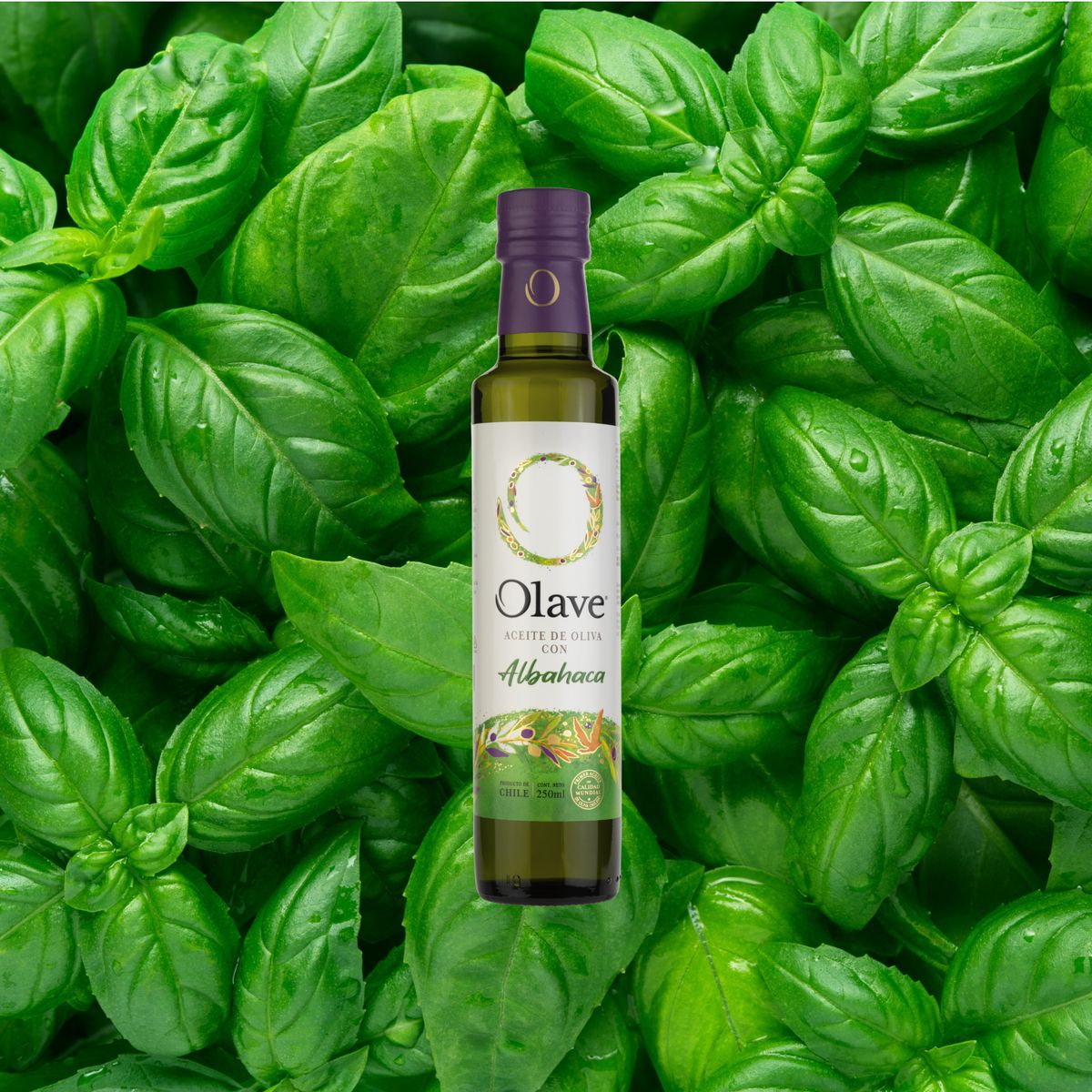 OLAVE - Aceite Oliva Extra Saborizado Olave Albahaca 1 x 250 ml