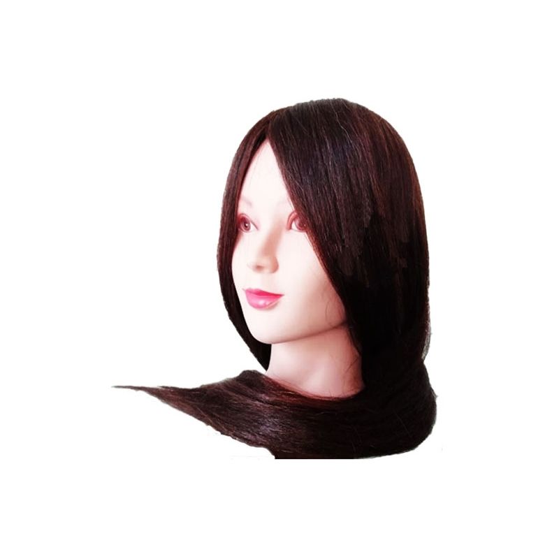 GENERICO - Cabeza Estudio Maniquí 80 natural con soporte de mesa…