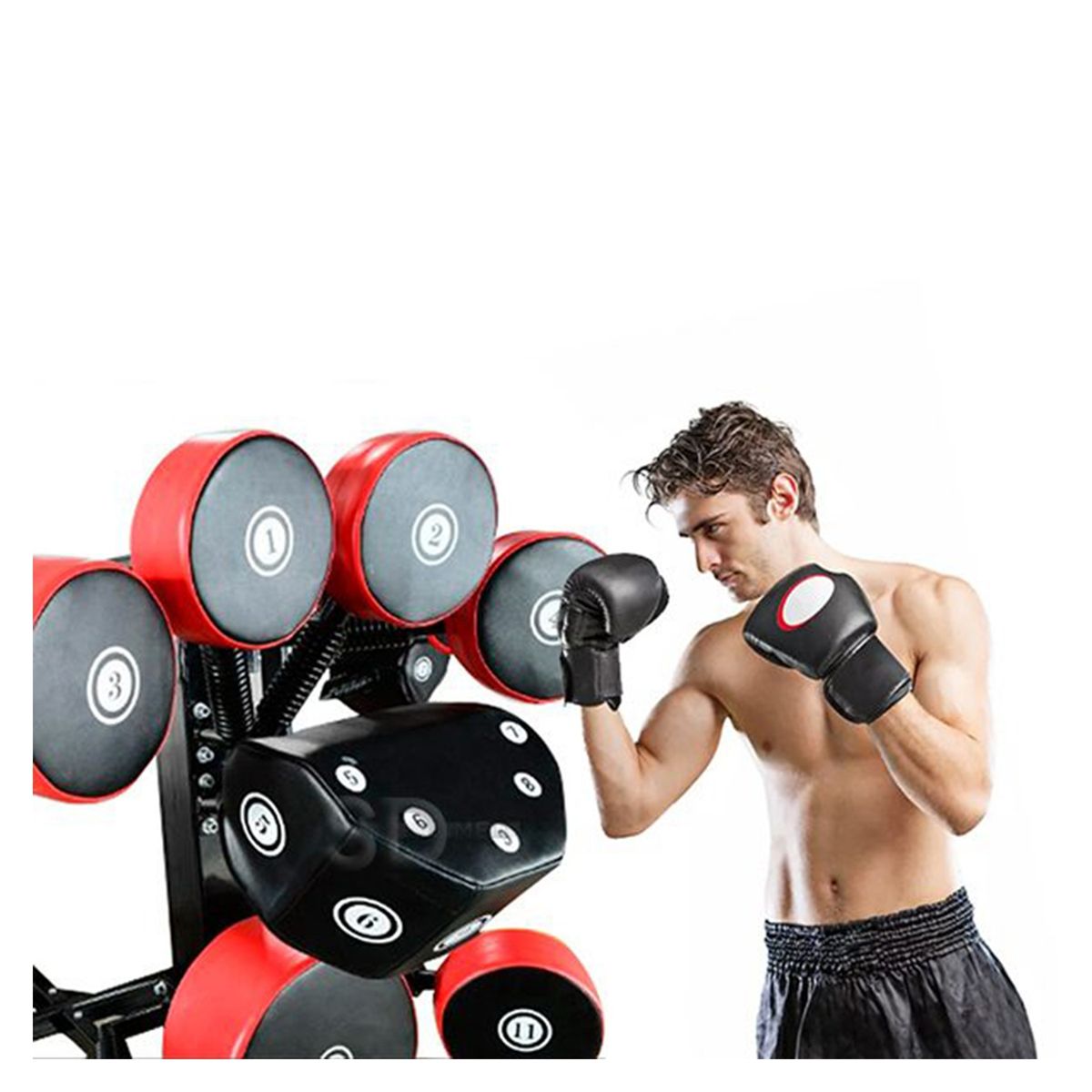 SDFIT - Estación de artes marciales B-19…