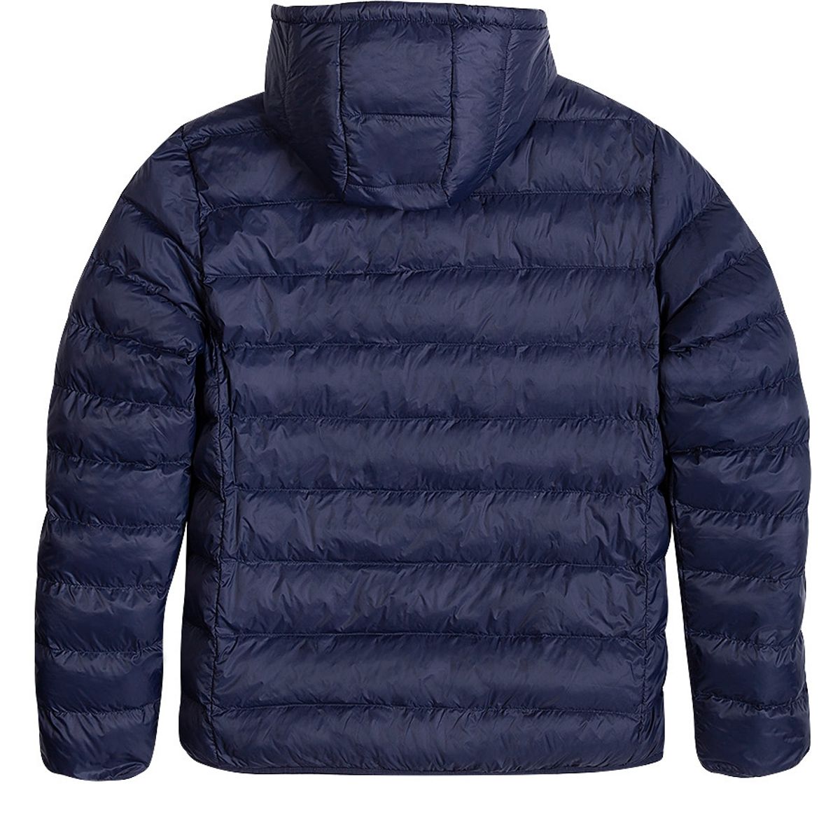 FEROUCH - Chaqueta Acolchada Austin F Azul Ferouch