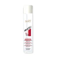 Fijador Extremo Todo Tipo Cabello Silkey 465 Ml