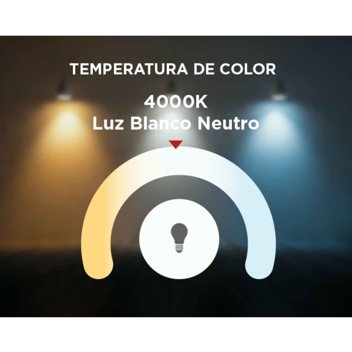 WESTINGHOUSE - Luminaria Pública Basic 30w Luz Blanco Neutro WESTINGHOUSE