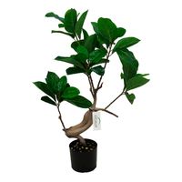 2 Planta artificial Ficus 90 –