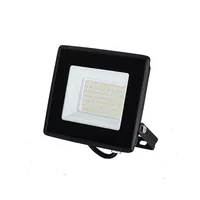 Foco Proyector De Área LED ECOSTREET 30W Cálido