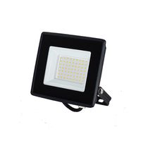 Foco Proyector De Área LED ECOSTREET 30W Frío