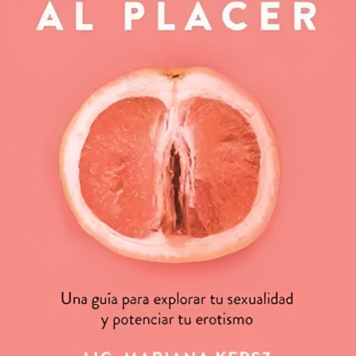 TOP10BOOKS - LIBRO Un Viaje Al Placer - Un Viaje Al Placer