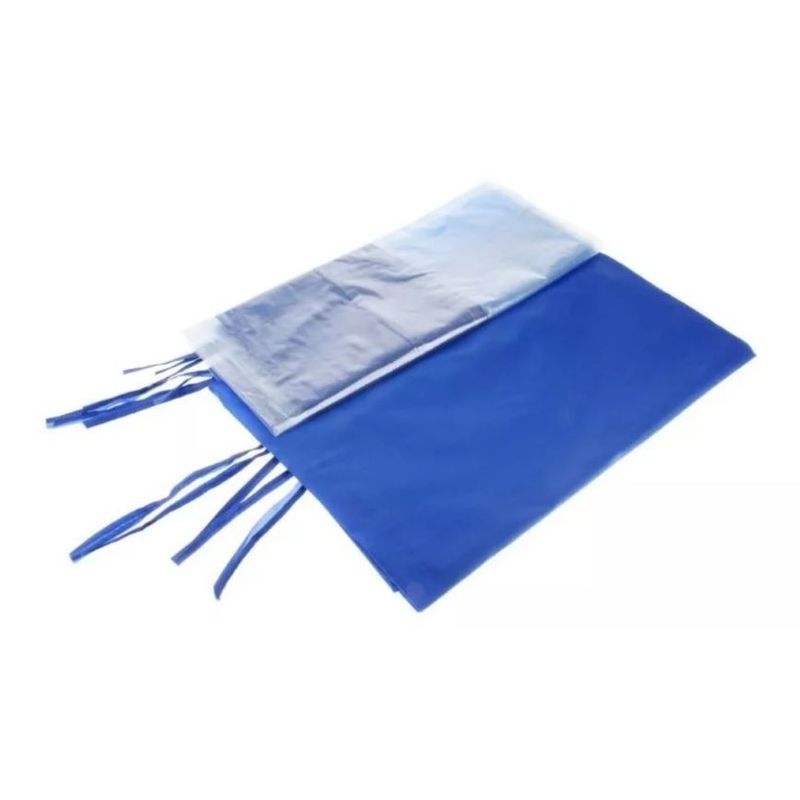 GENERICO - Lona Paredes Laterales Para Toldo Plegable 2x2  Azul Transparente