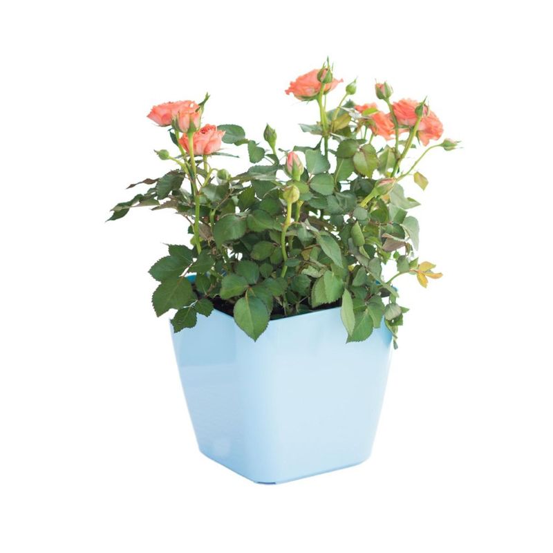 ELSIE - Macetero autorregante Elsie 14 - Celeste…