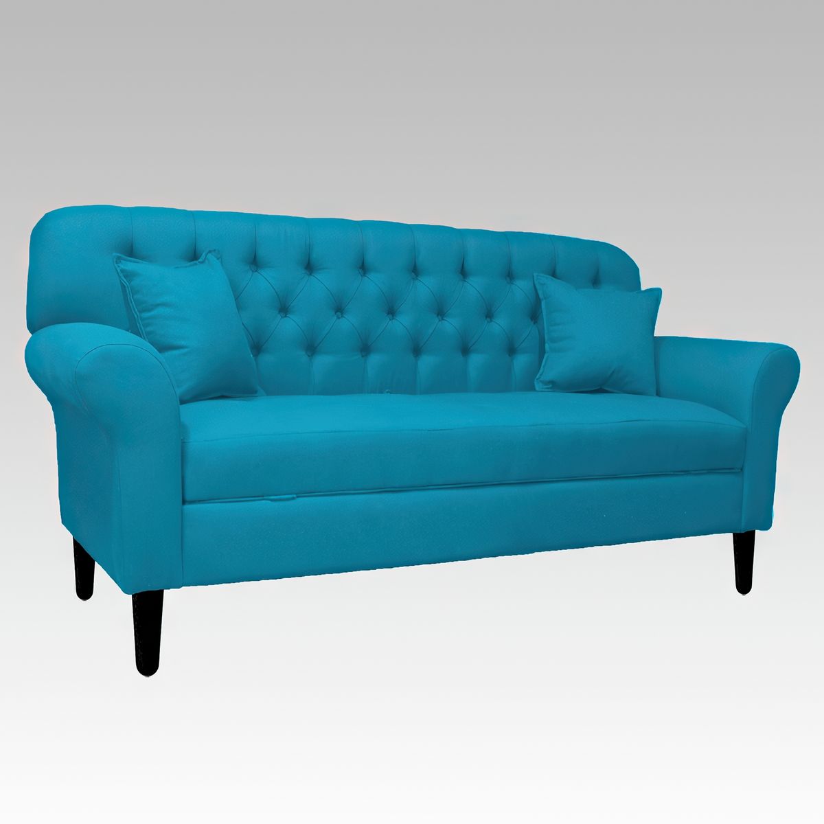 GENERICO - Sofá Baúl 2 Cuerpos Estilo Capitoné Hamburgo - Turquesa