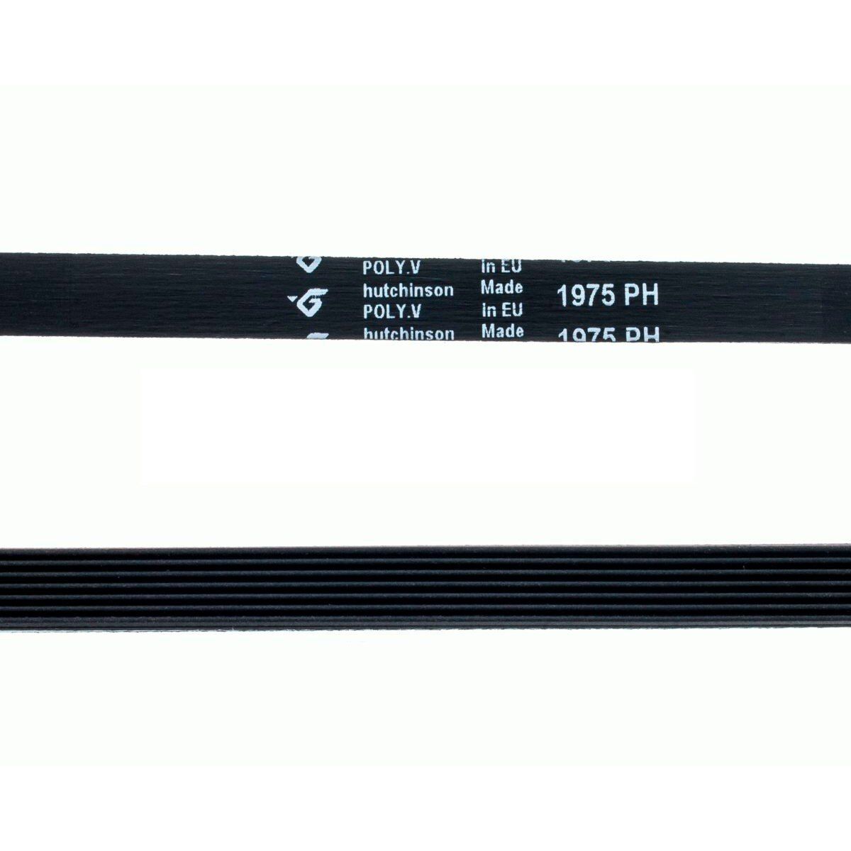 ELECTROLUX - Correa Original 6ph 1975 Para Secadoras