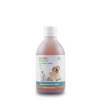 Jarabe Gastroprotector De Matico Allgreen Mascotas 250ml