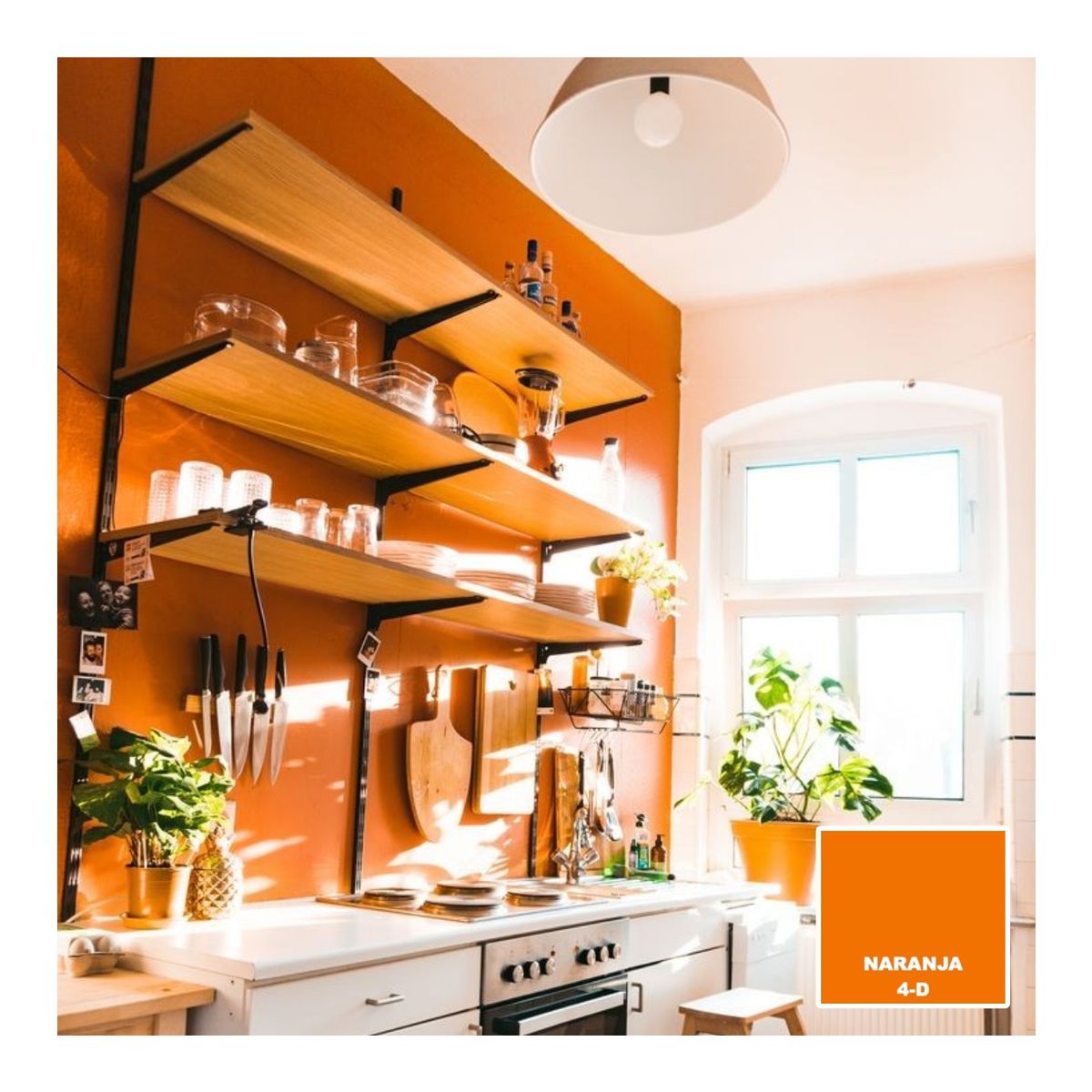 BAUM - TINETA PINTURA ESMALTE AL AGUA - NARANJA 4-D