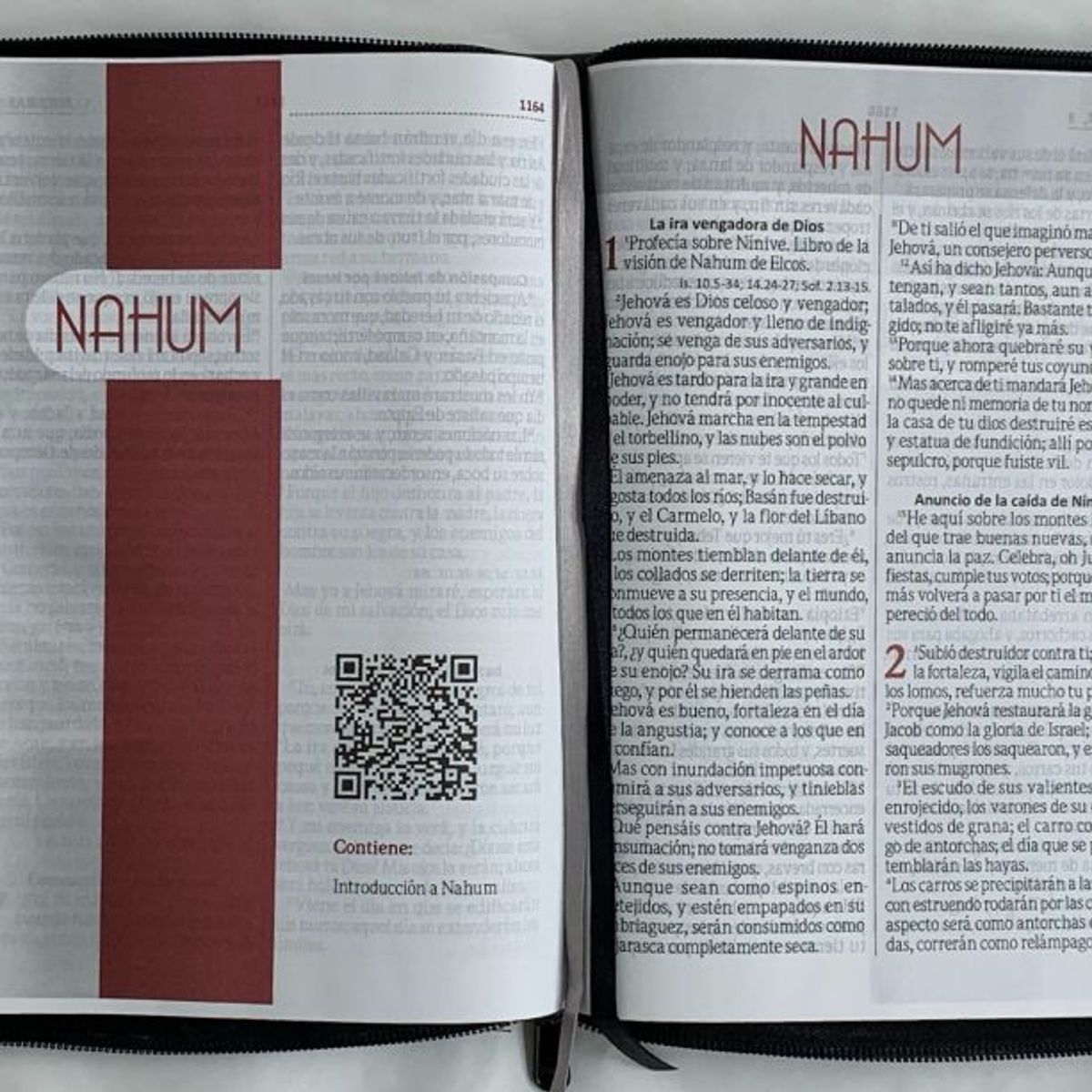 SOCIEDADES BIBLICAS UNIDAS - Biblia Reina Valera Letra Gigante 14 puntos con cierre e índice bicolor