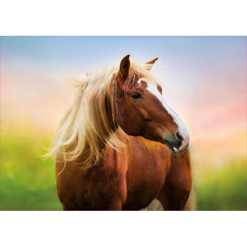 EDUCA - EDUCA 19000 PUZZLE 500 PIEZAS HORSE AT SUNRISE