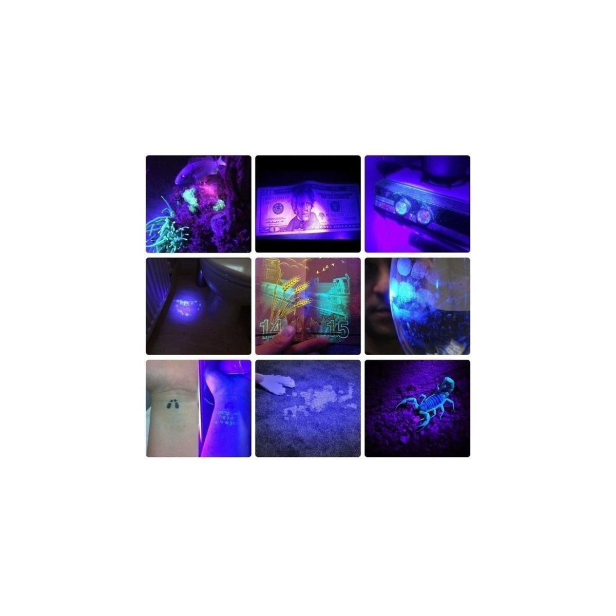 U BUY - Linterna De Bolsillo Ultravioleta Luz Uv l41