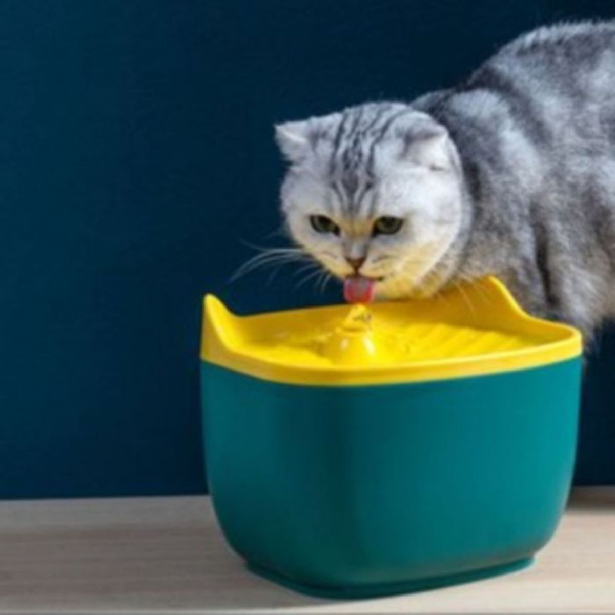 GENERICO - Bebedero electrico perros y gatos fuente agua mascota 2,5 lt