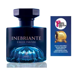 GENERICO - INEBRIANTE Perfume Masculino 100ml Brasil Regalo Hombre