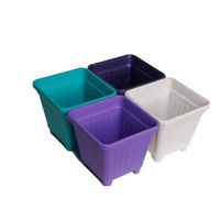 Pack 50 unidades macetero cuadrado 10 colores diseño