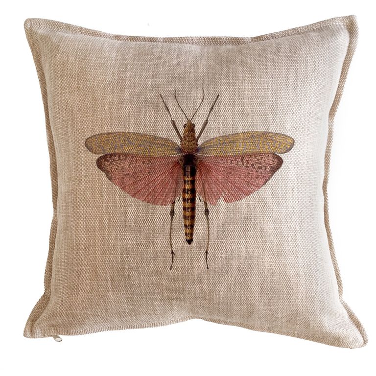 Cojin Antique Fly 45x45 -Tuyo Print