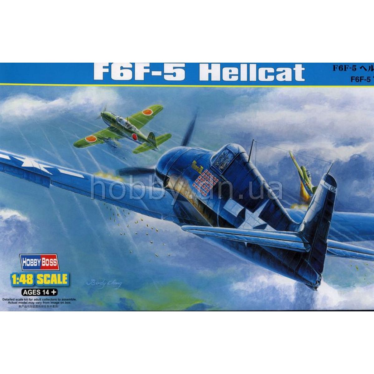 GENERICO - HOBBYBOSS 80339 F 6 F 5 HELLCAT 1-48