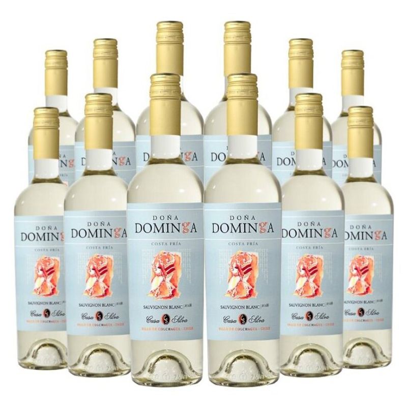 DOMINGA - 12 Vinos Dominga Reserva Sauvignon Blanc