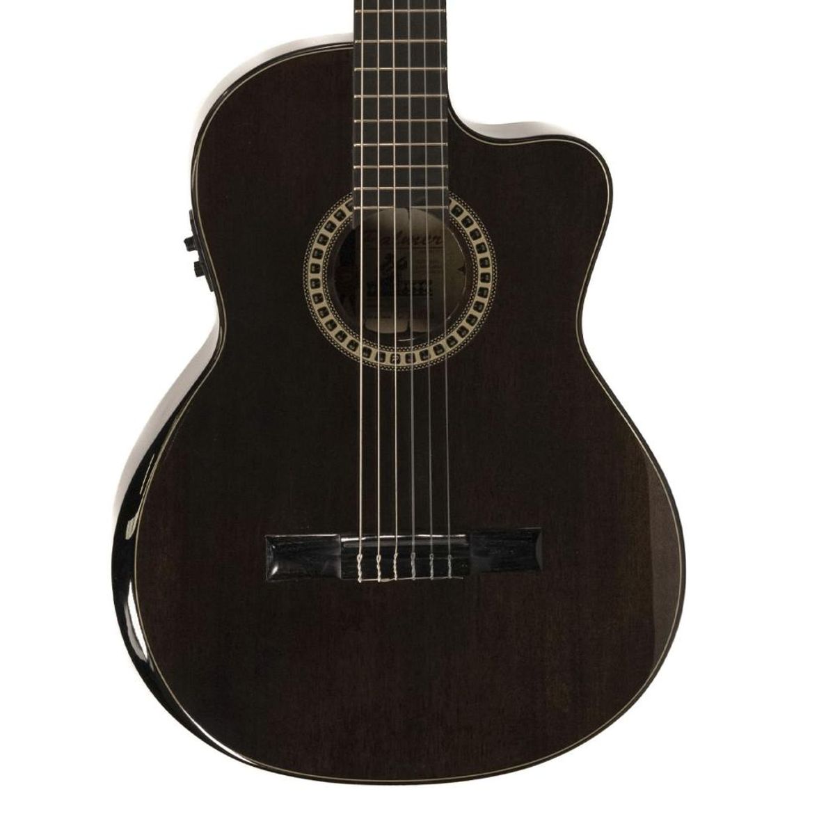 GENERICO - PC16CEQ TBK GUITARRA E/A NYLON PALMER