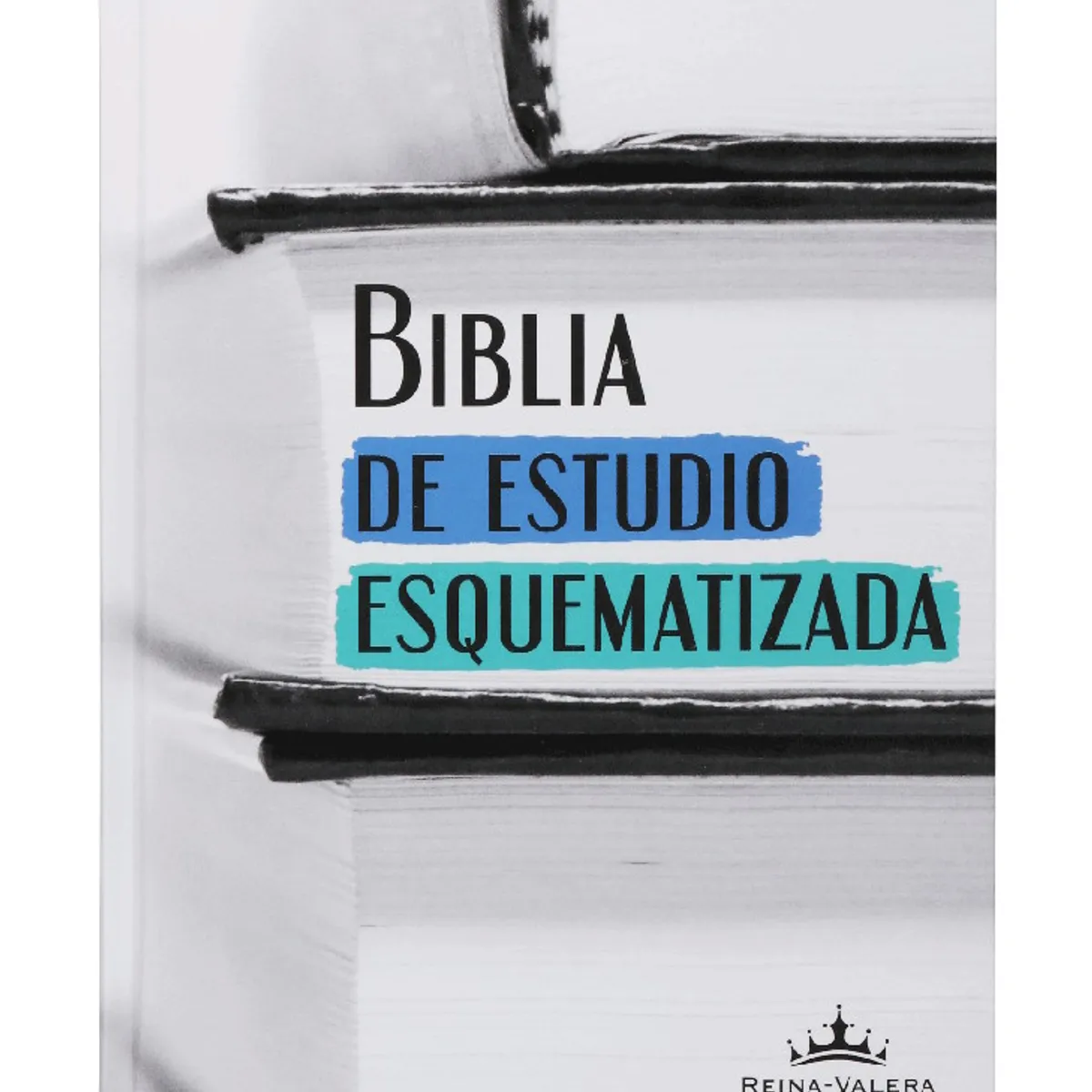 SOCIEDAD BIBLICA CHILENA - Biblia de Estudio Esquematizada RVR1960 mediana tapa dura