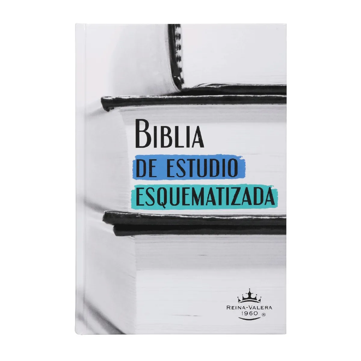 SOCIEDAD BIBLICA CHILENA - Biblia de Estudio Esquematizada RVR1960 mediana tapa dura