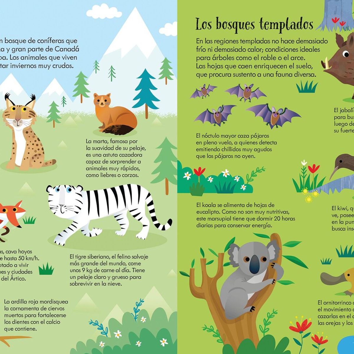 USBORNE - Y Puzzle - Animales Del Mundo (200 Piezas)