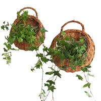 Juego De Dos Macetas De Flores Para Colgar Pared