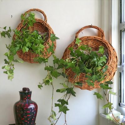 Imagen 2 del producto Juego De Dos Macetas De Flores Para Colgar Pared