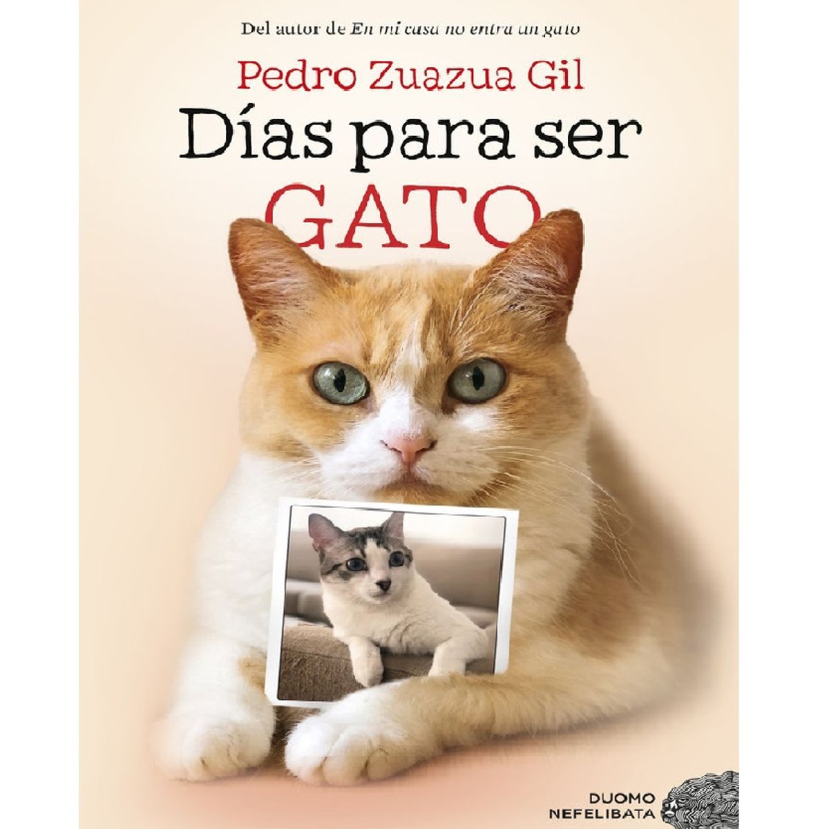 DUOMO - DIAS PARA SER GATO ZUAZUA GIL PEDRO
