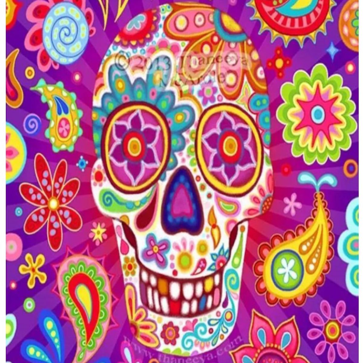 FUN AT HOME LO DIVERTIDO DE ESTAR EN CASA - Diamond Painting Calavera 30x40 Pintura Diamante Redondo