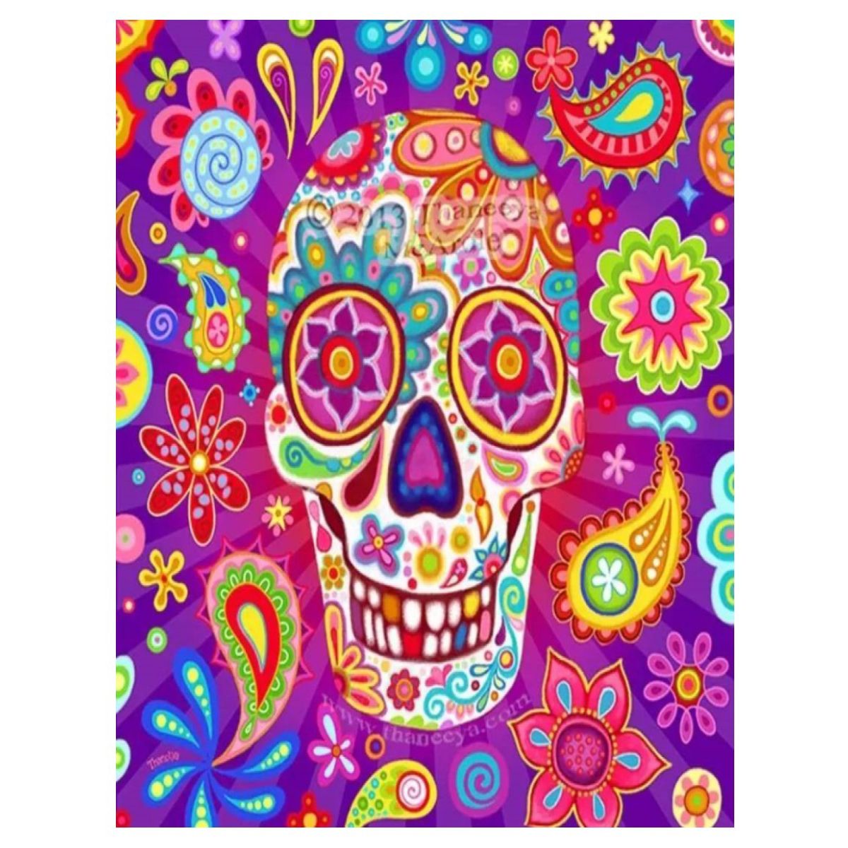 FUN AT HOME LO DIVERTIDO DE ESTAR EN CASA - Diamond Painting Calavera 30x40 Pintura Diamante Redondo