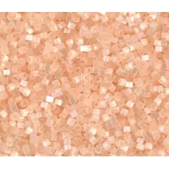 GENERICO - Delicas Miyuki 11/0 5gr - Salmon