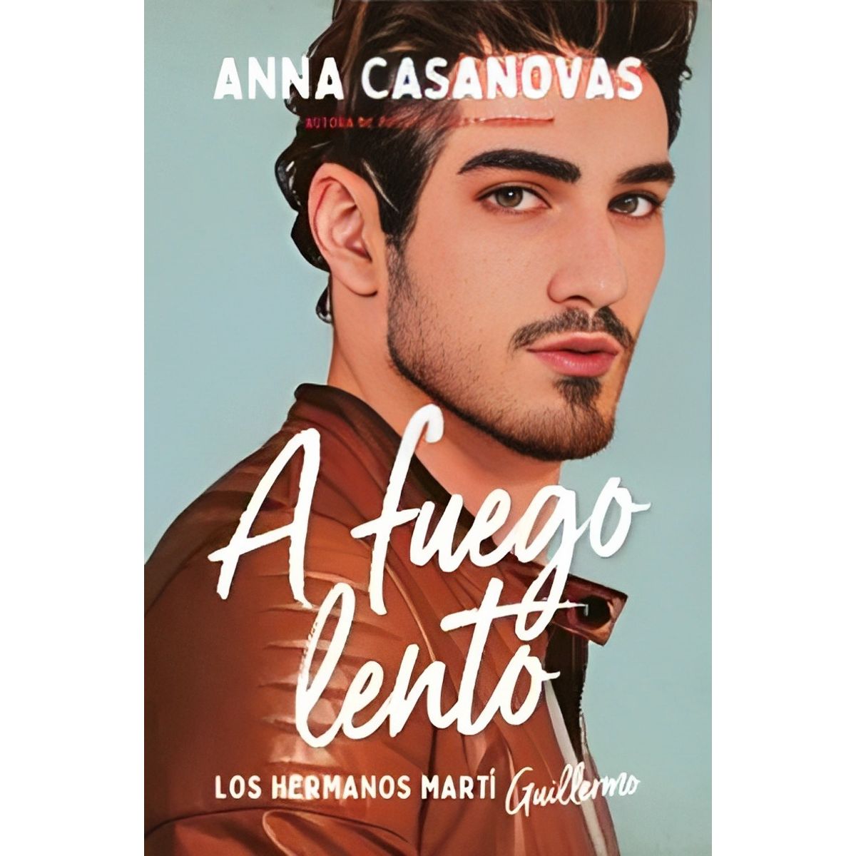 TOP10BOOKS - LIBRO A Fuego Lento (los Hermanos Martí 2) - ANNA CASANOVAS