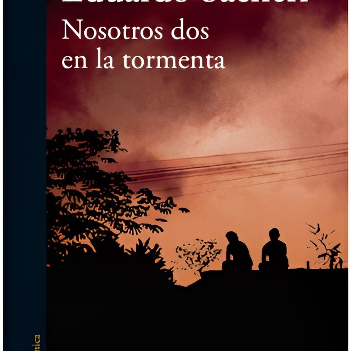 TOP10BOOKS - LIBRO Nosotros Dos En La Tormenta - Nosotros Dos En La Tormenta
