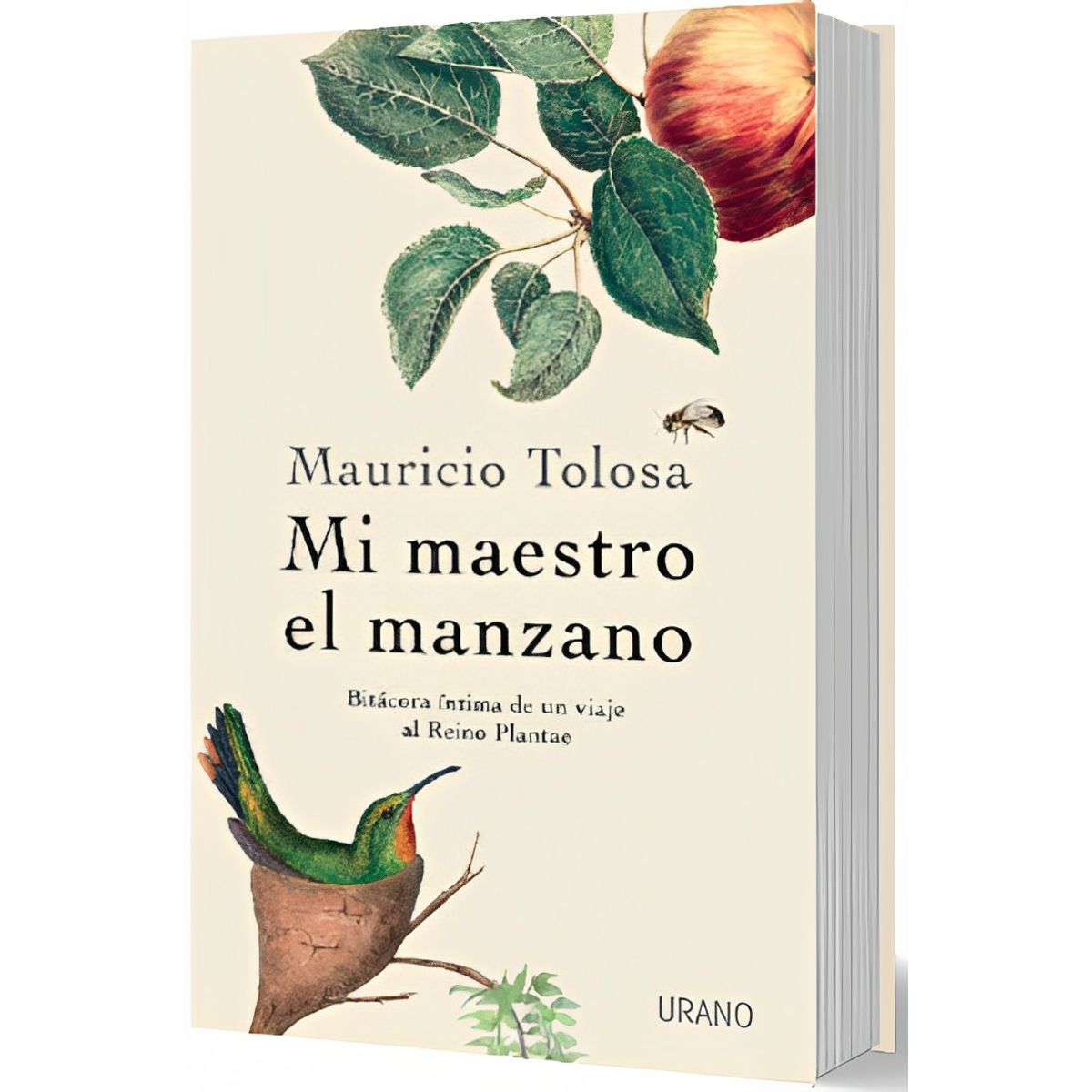 TOP10BOOKS - LIBRO MI Maestro El Manzano - Mi Maestro El Manzano