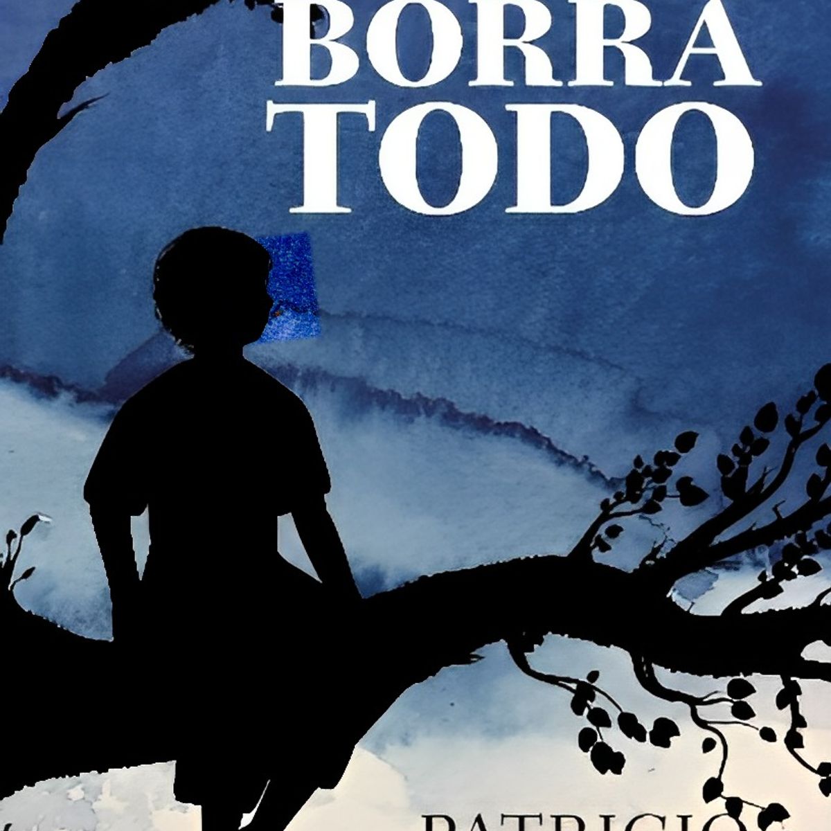 TOP10BOOKS - LIBRO La Lluvia Borro Todo - La Lluvia Borro Todo