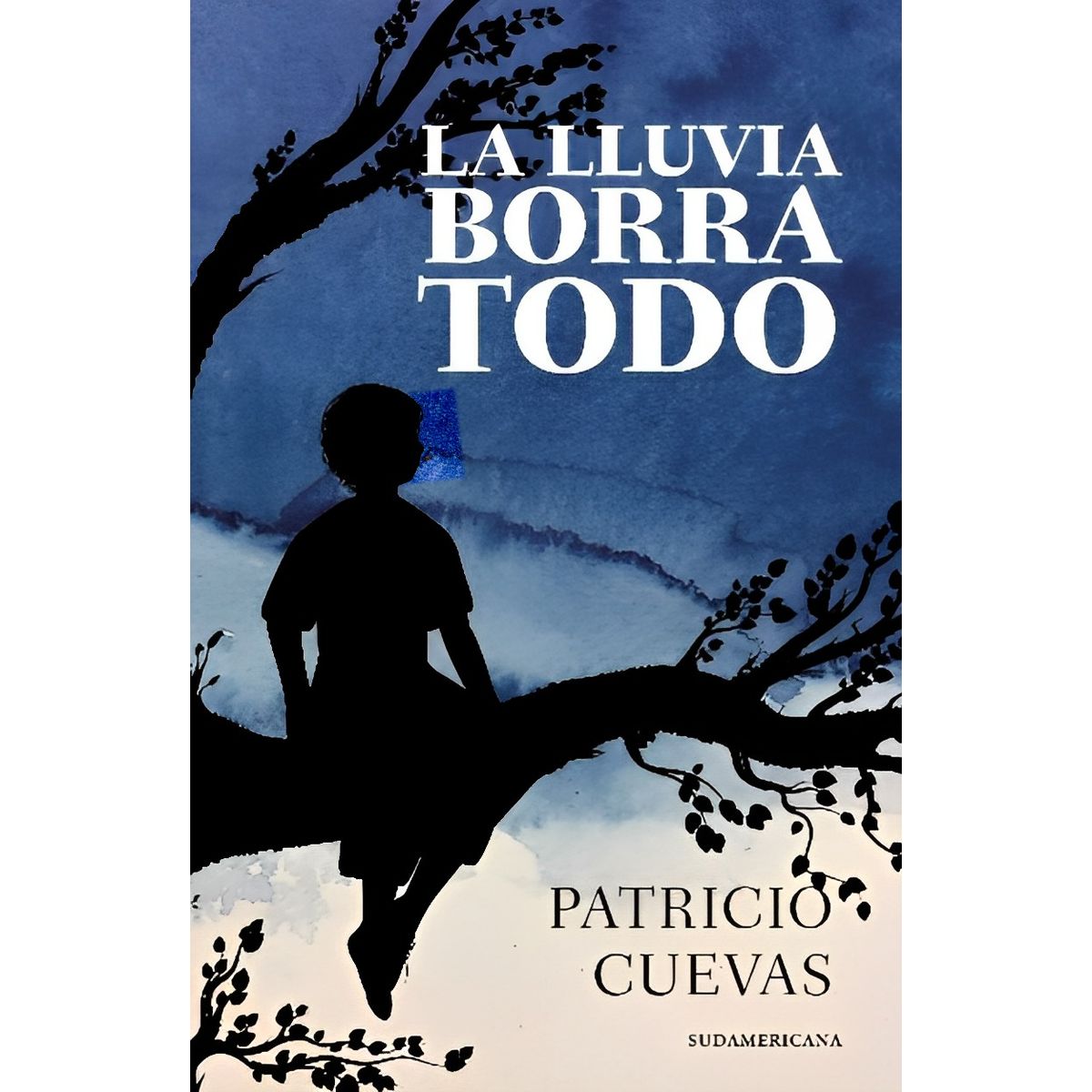 TOP10BOOKS - LIBRO La Lluvia Borro Todo - La Lluvia Borro Todo