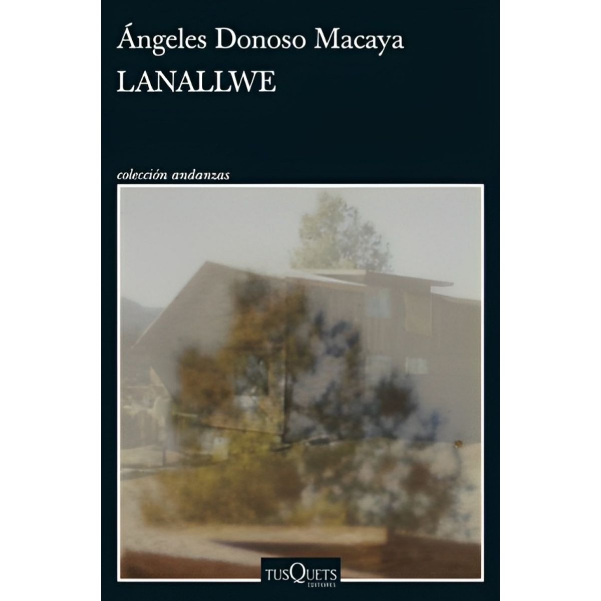 TOP10BOOKS - LIBRO Lanallwe - Ángeles Donoso